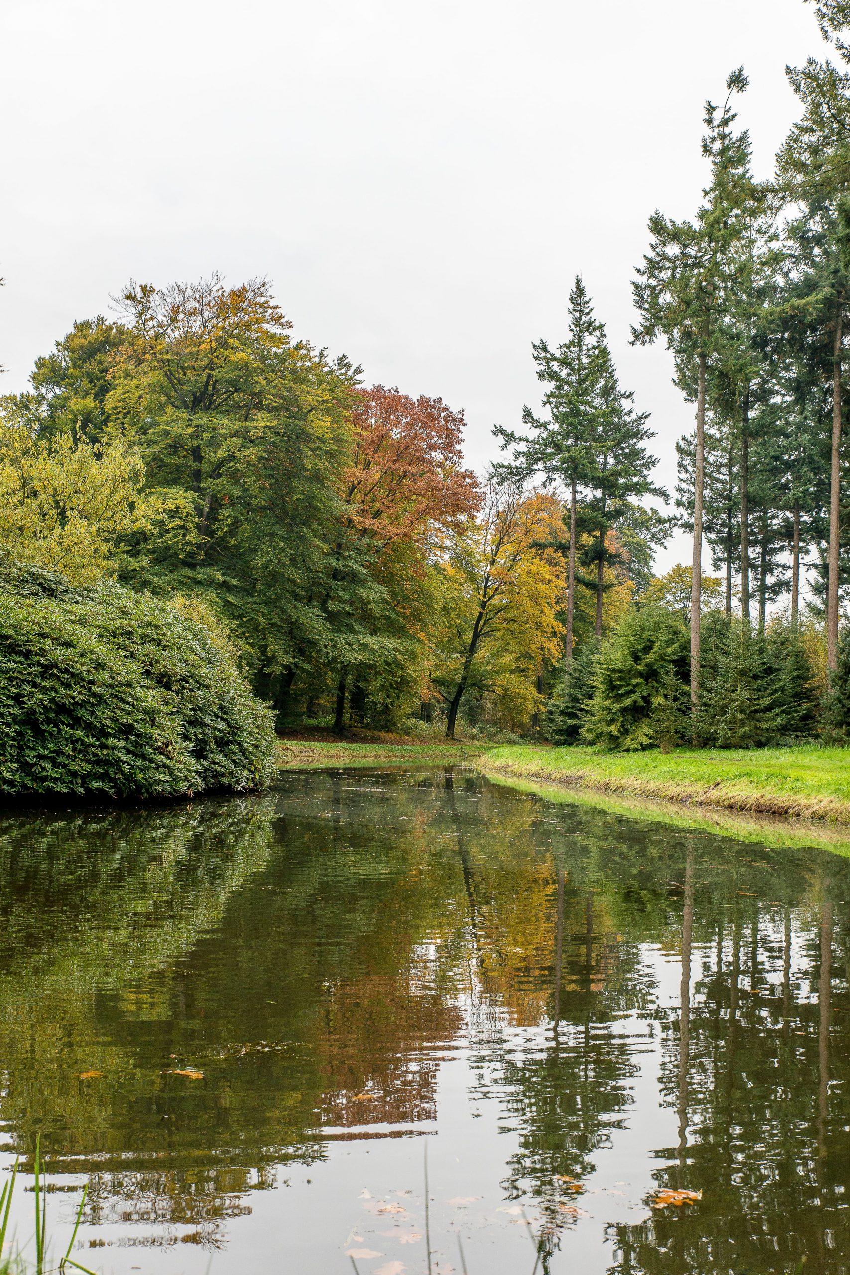 Etang Delaune TP